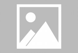 天龙周年爆料最新消息,揭秘全新爆料，精彩内容抢先看！